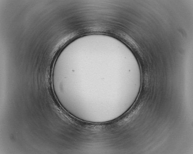 X0000113040930200909241431