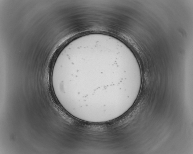 X0000113040931200909241431