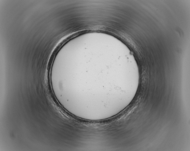 X0000113040932200909241431