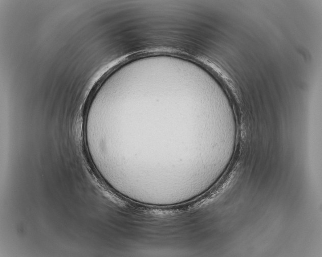 X0000113040933200909241431