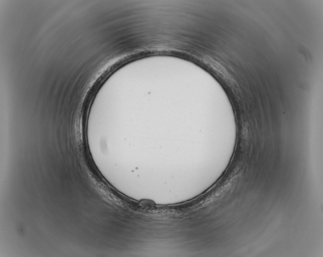 X0000113040934200909241431
