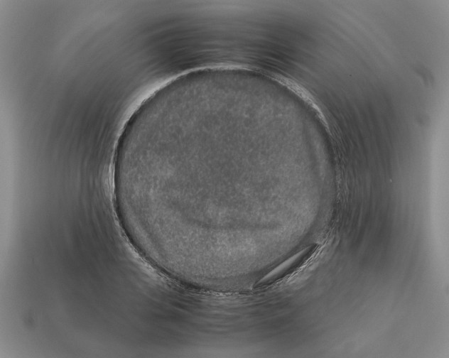 X0000113040935200909241431