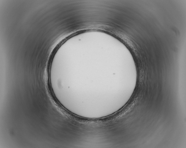 X0000113040936200909241431