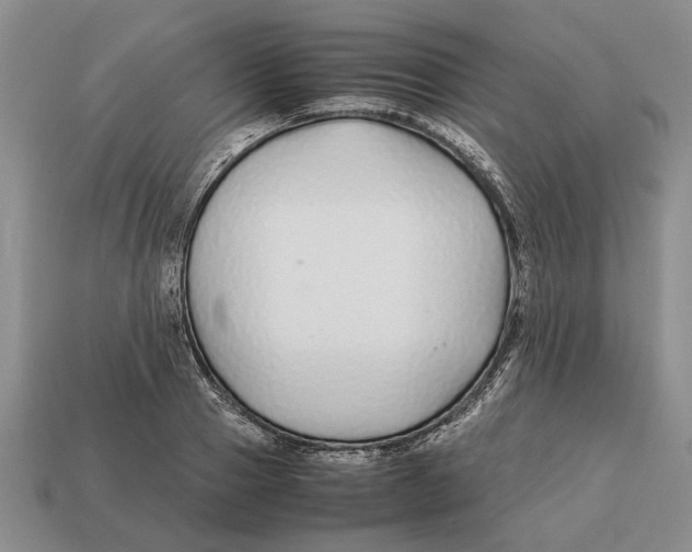 X0000113040937200909241431