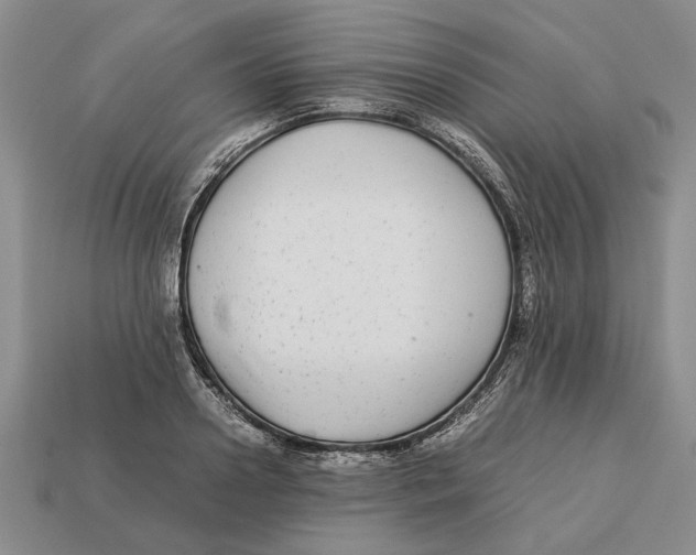 X0000113040938200909241431