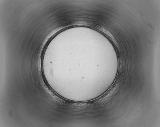 X0000113040939200909241431