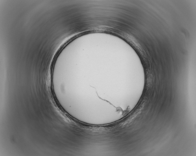 X0000113040940200909241431