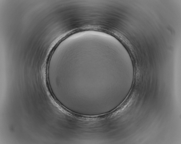 X0000113040941200909241431