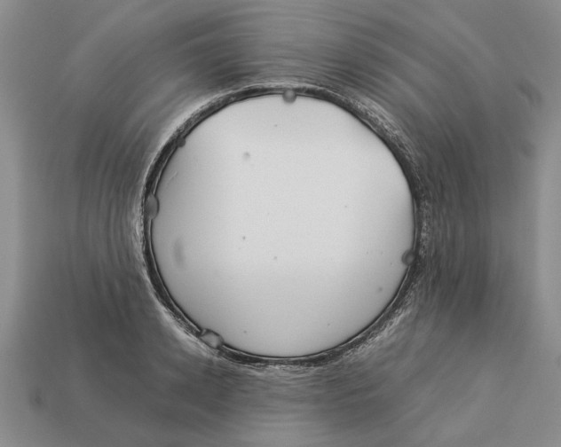 X0000113040942200909241431
