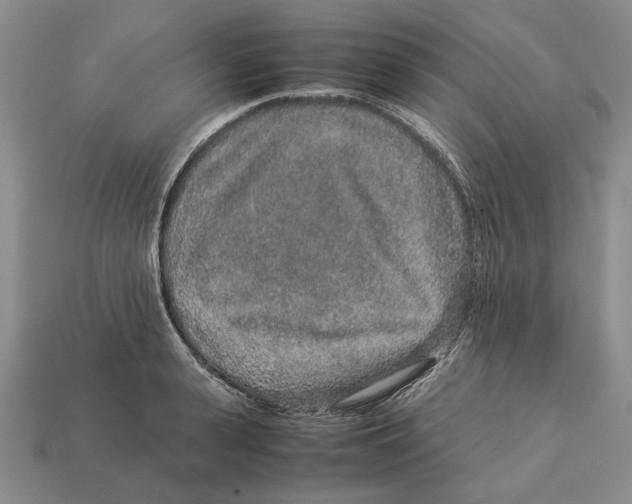 X0000113040943200909241431