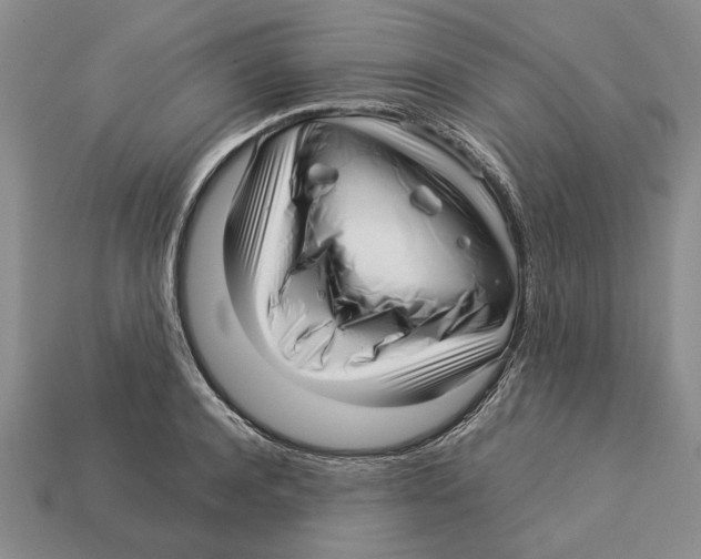 X0000113040944200909241432