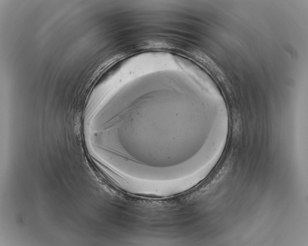 X0000113040945200909241432