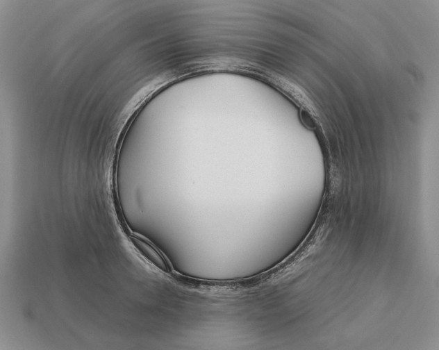 X0000113040946200909241432