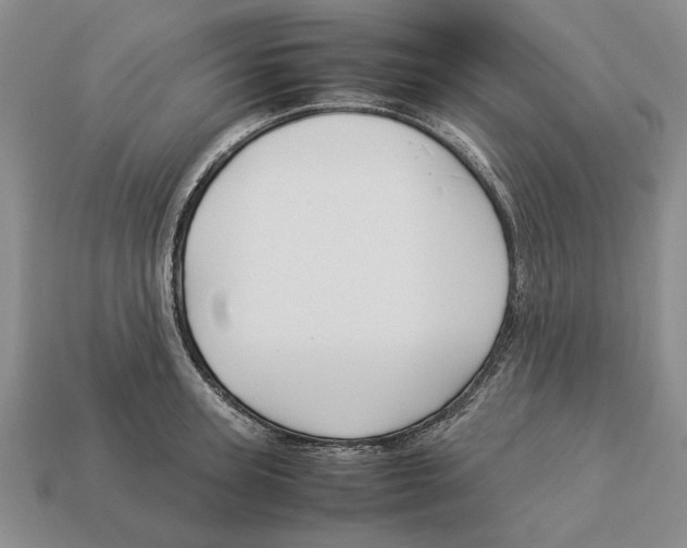 X0000113040947200909241432