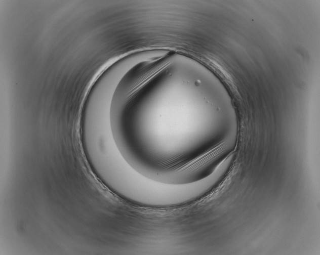 X0000113040948200909241432