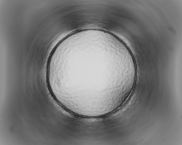 X0000113040949200909241432