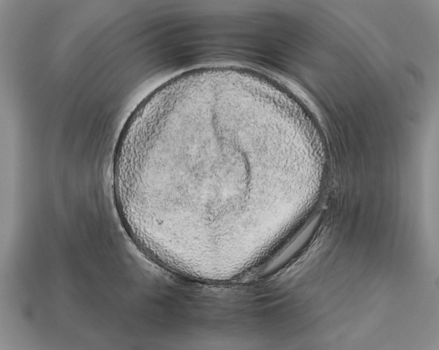 X0000113040951200909241432