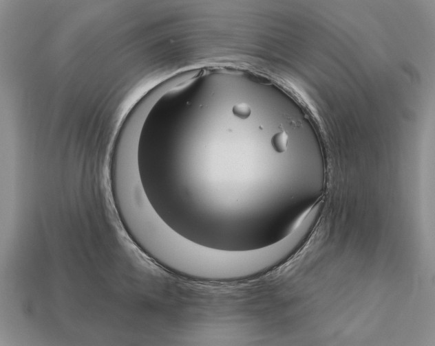 X0000113040952200909241432