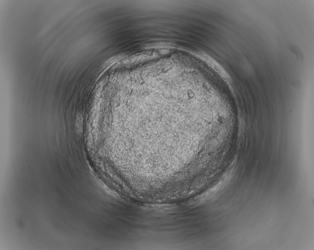 X0000113040953200909241432
