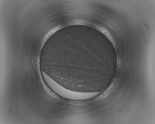 X0000113040954200909241432