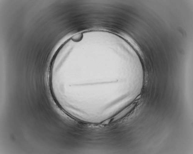 X0000113040955200909241432
