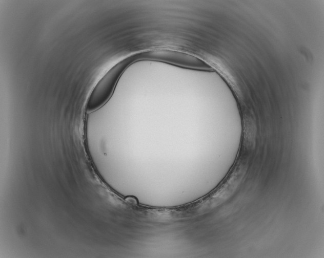 X0000113040956200909241432