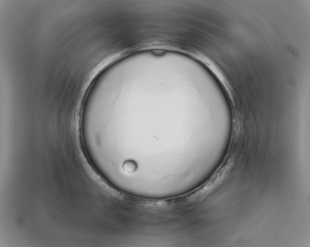 X0000113040957200909241432