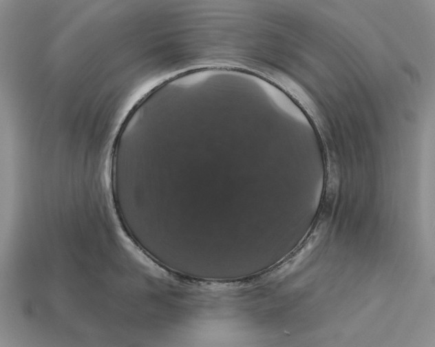 X0000113040958200909241432