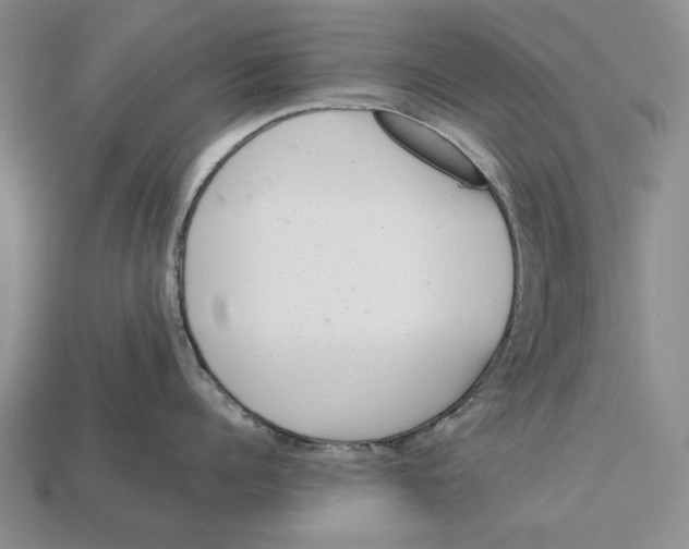 X0000113040960200909241432