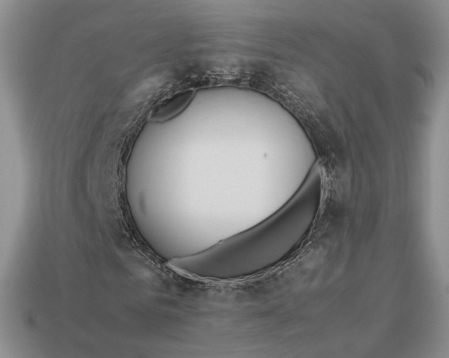 X0000113040961200909241431