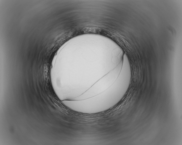 X0000113040964200909241431