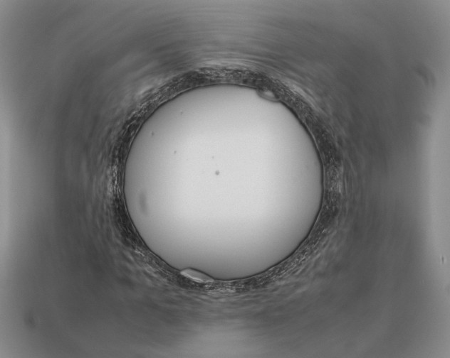 X0000113040965200909241431