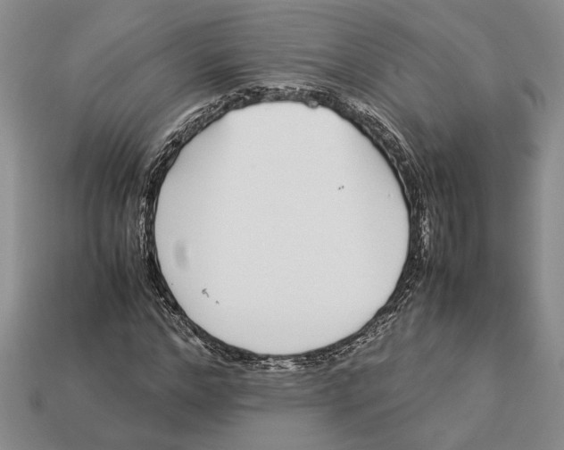 X0000113040968200909241431