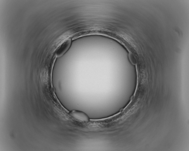 X0000113040969200909241431