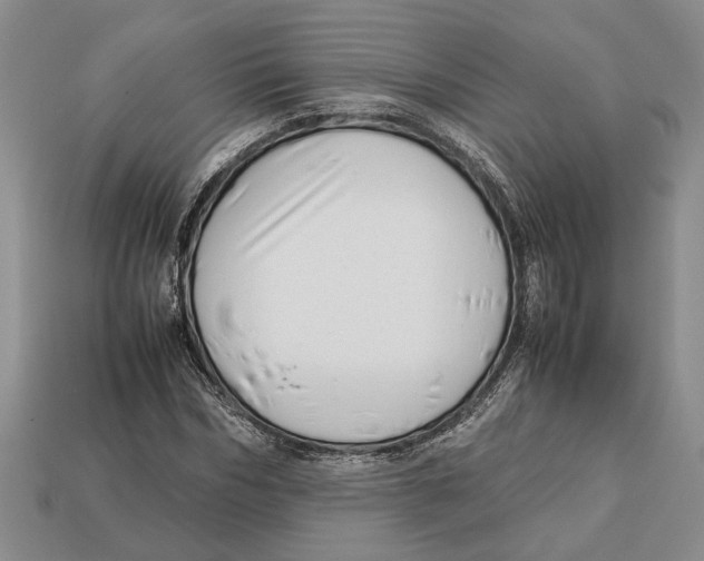 X0000113040970200909241431