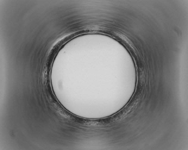 X0000113040971200909241431