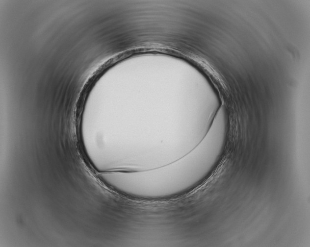 X0000113040972200909241431