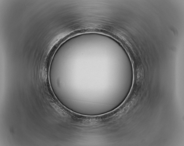 X0000113040973200909241431