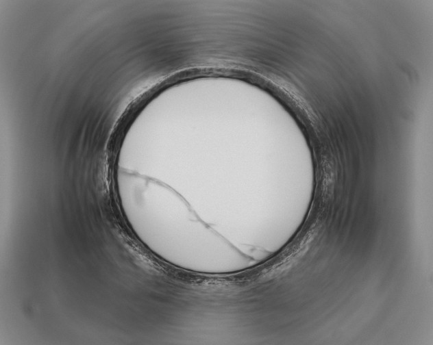 X0000113040974200909241431