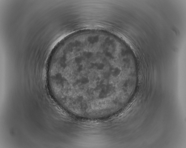 X0000113040975200909241431