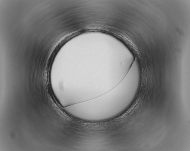 X0000113040976200909241431