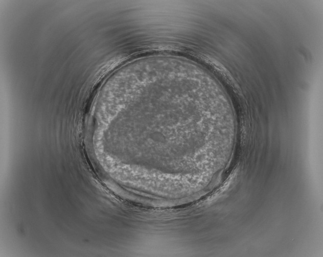 X0000113040977200909241431