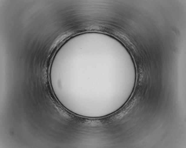 X0000113040978200909241431