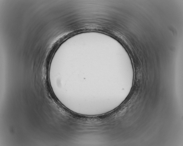 X0000113040979200909241431