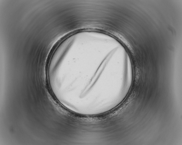 X0000113040980200909241431