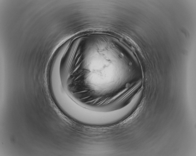 X0000113040981200909241431