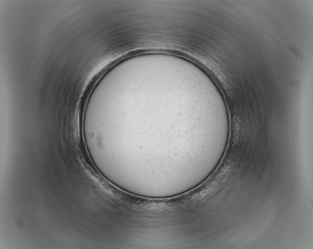 X0000113040982200909241431