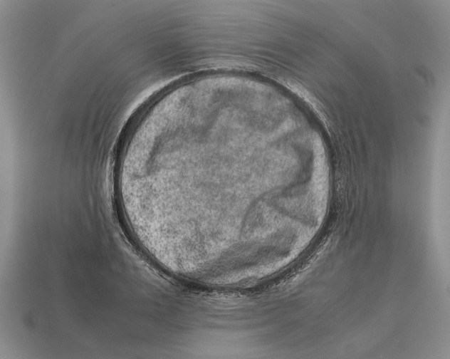 X0000113040983200909241431