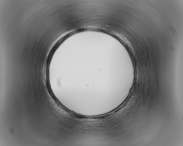 X0000113040984200909241431