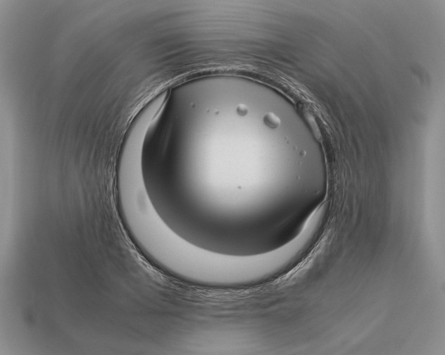 X0000113040985200909241431